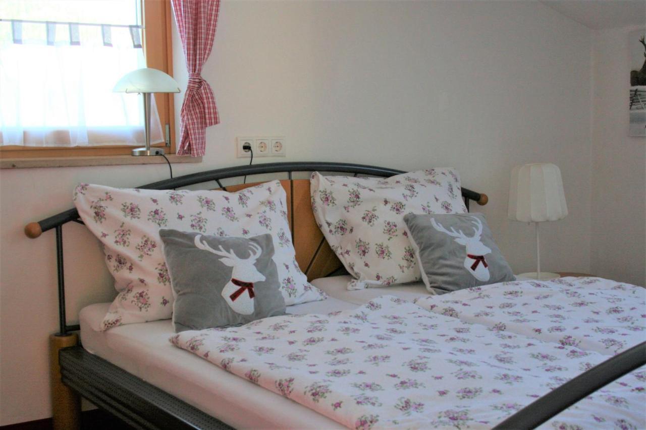 Apartment Alpenapartment 2 - 6 Personen Abtenau